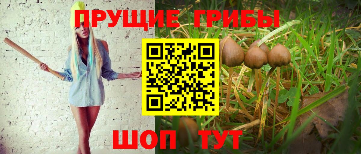 Псилоцибиновые грибы Psilocybine cubensis Симферополь